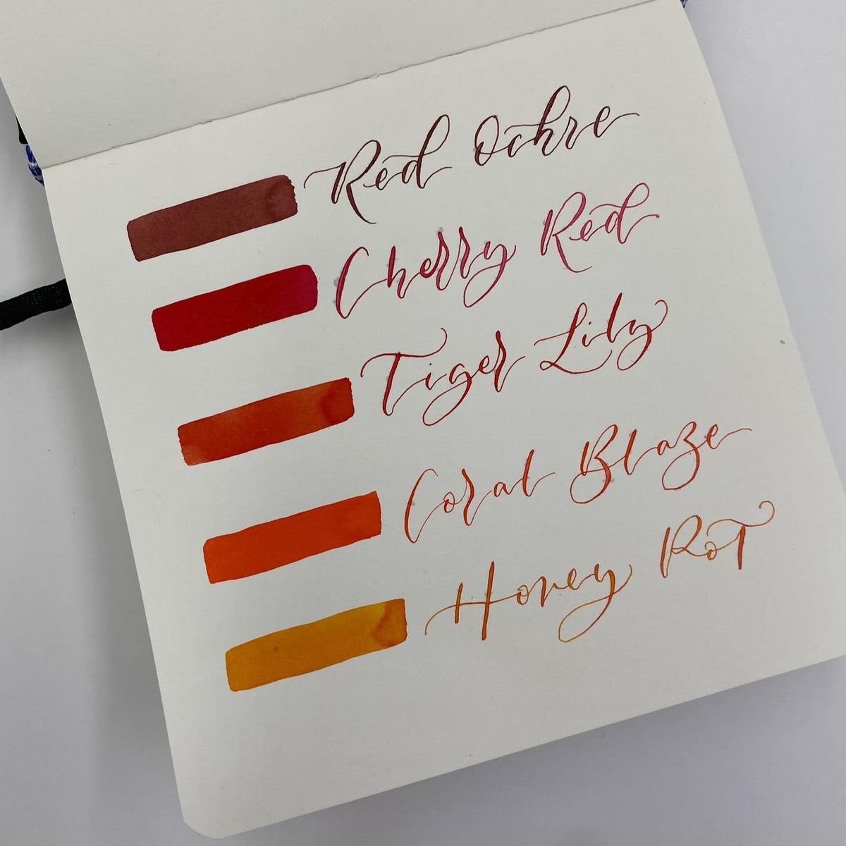 Diamine Forever Ink Permanent Pigment Fountain Pen Ink 50ml