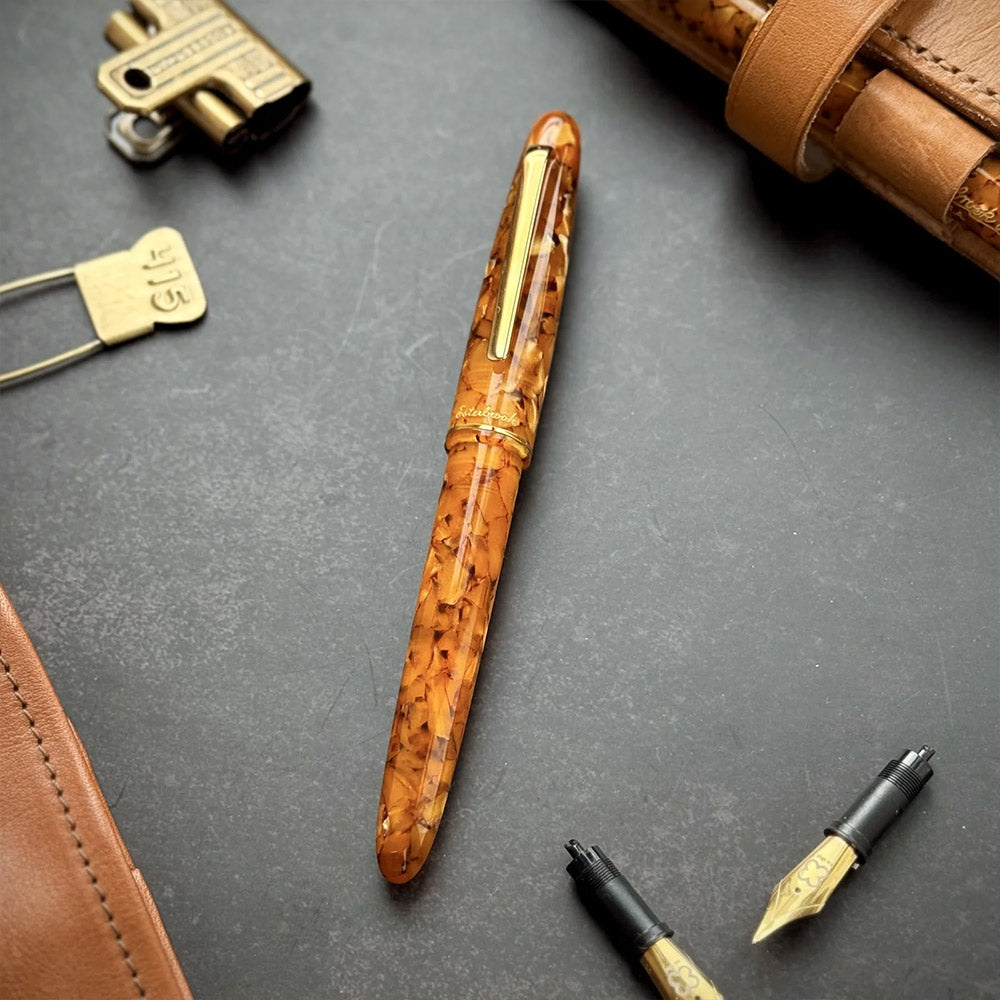 Esterbrook Estie Fountain Pen Honeycomb With Gold Trim Custom Gena Nib
