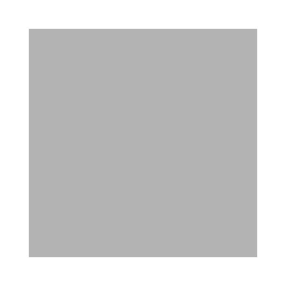 Rico Large Stamp Pad Silver by Rico Design at Cult Pens