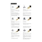 Pilot Custom 743 Fountain Pen Black